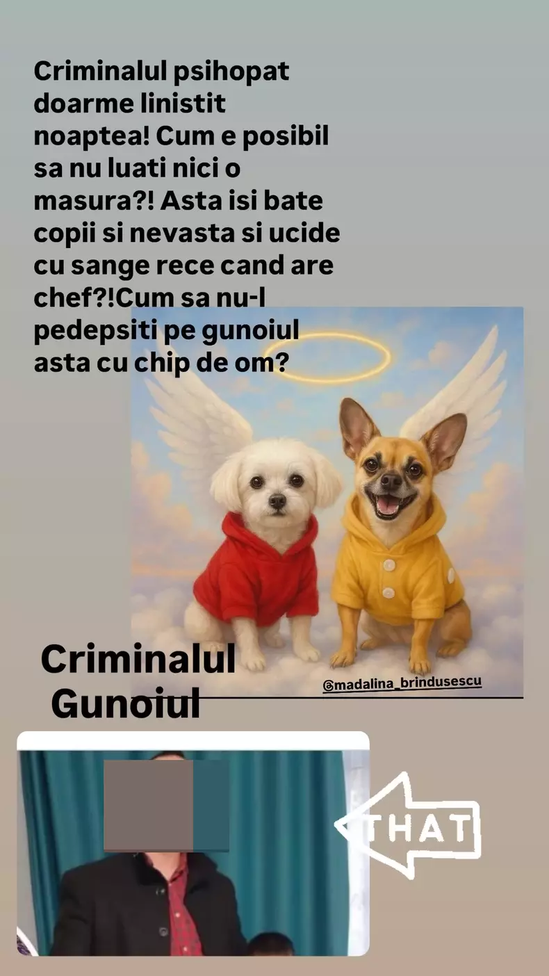 Bianca Drăgușanu cere să se facă dreptate după ce un bărbat din Tulcea a ucis cu bâta doi câini de talie mică (3)