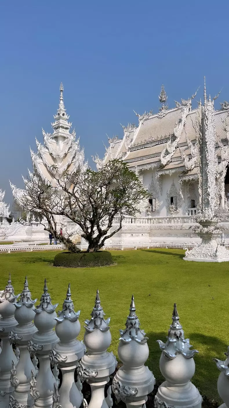 Imagini de la filmarile Asia Express (3)