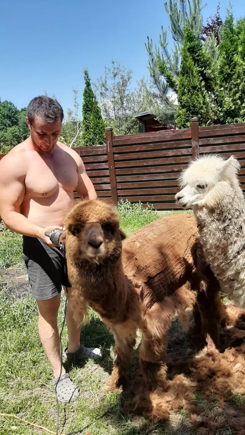 cine-este-sotia-lui-Marian-Godina-12