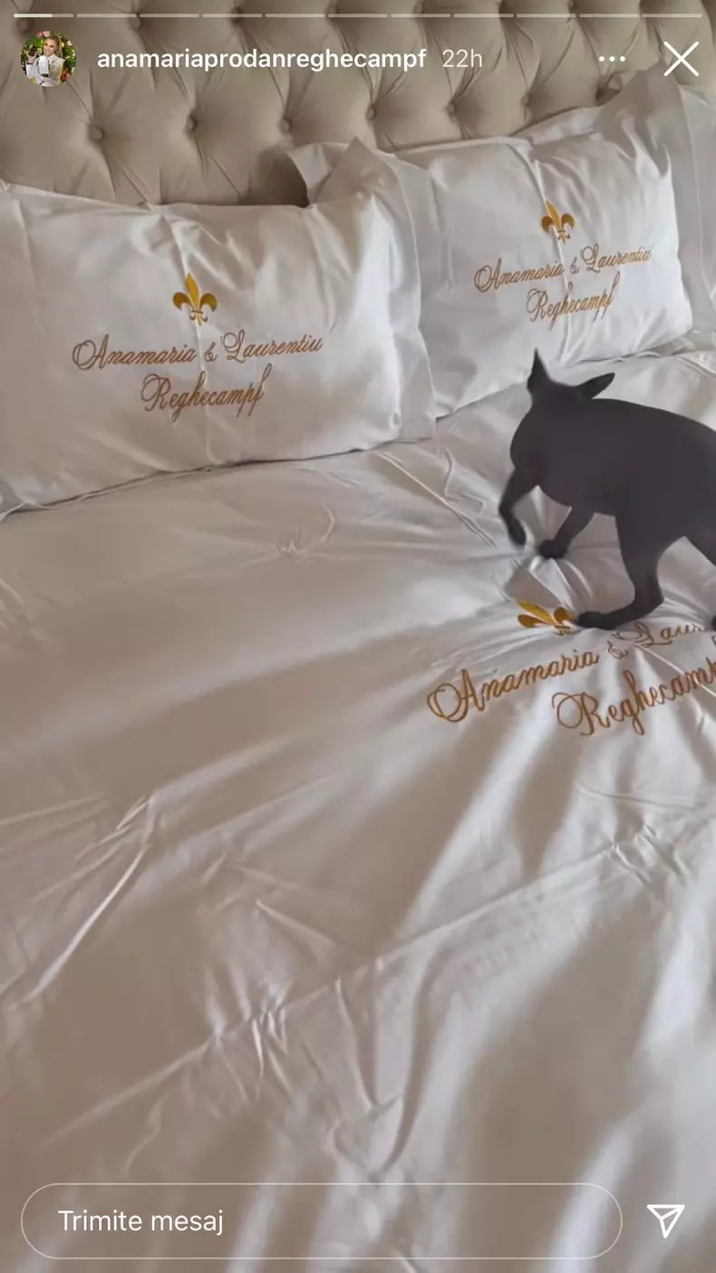 278429930_1005971696701718_7344468015158588730_n