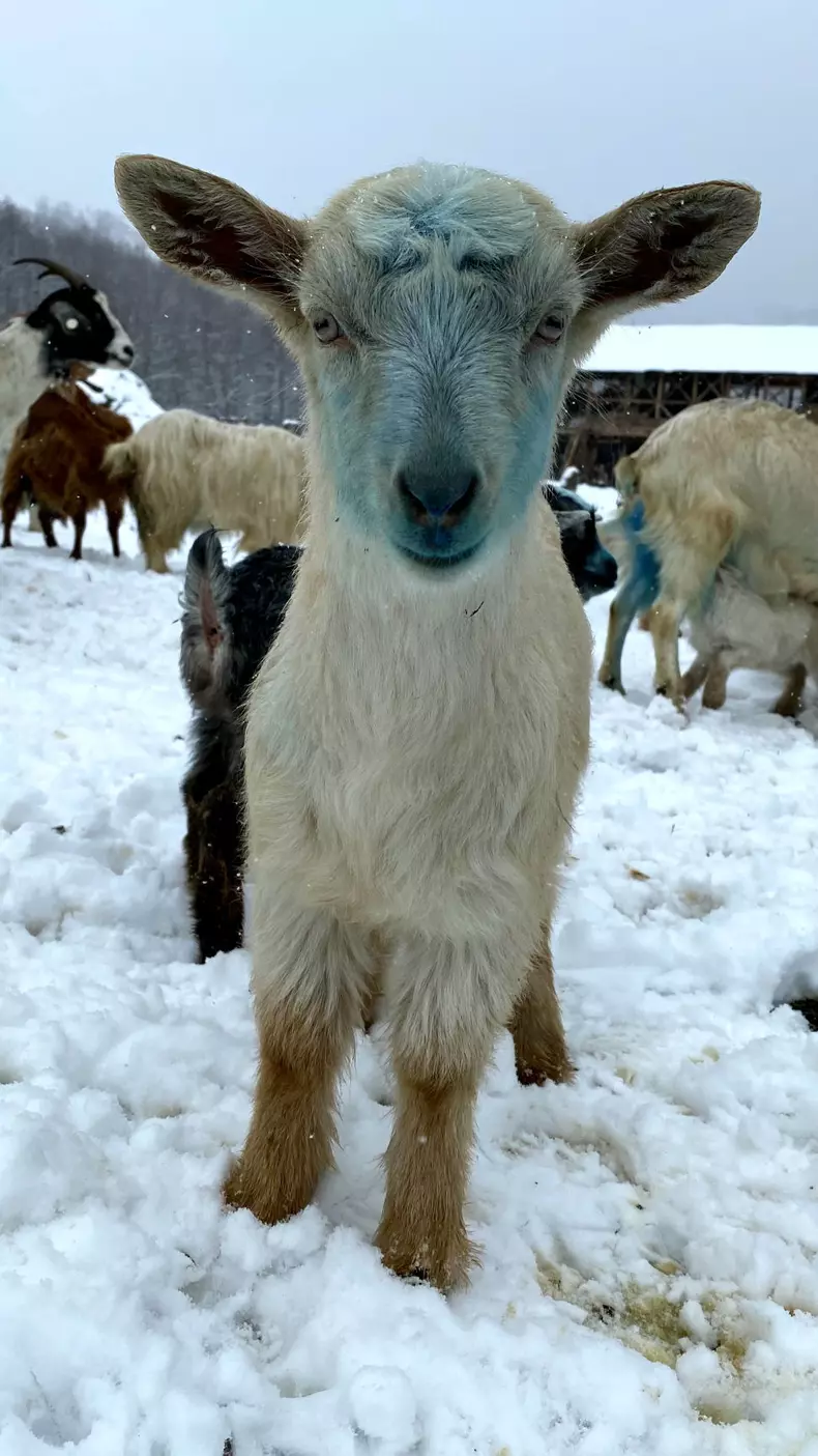Echipa ROventura ajunge la Cerna, un loc de poveste și de povestit (3)