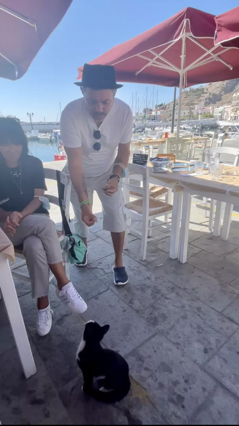 chef-Bontea-animalele-chefi-fara-limite-2