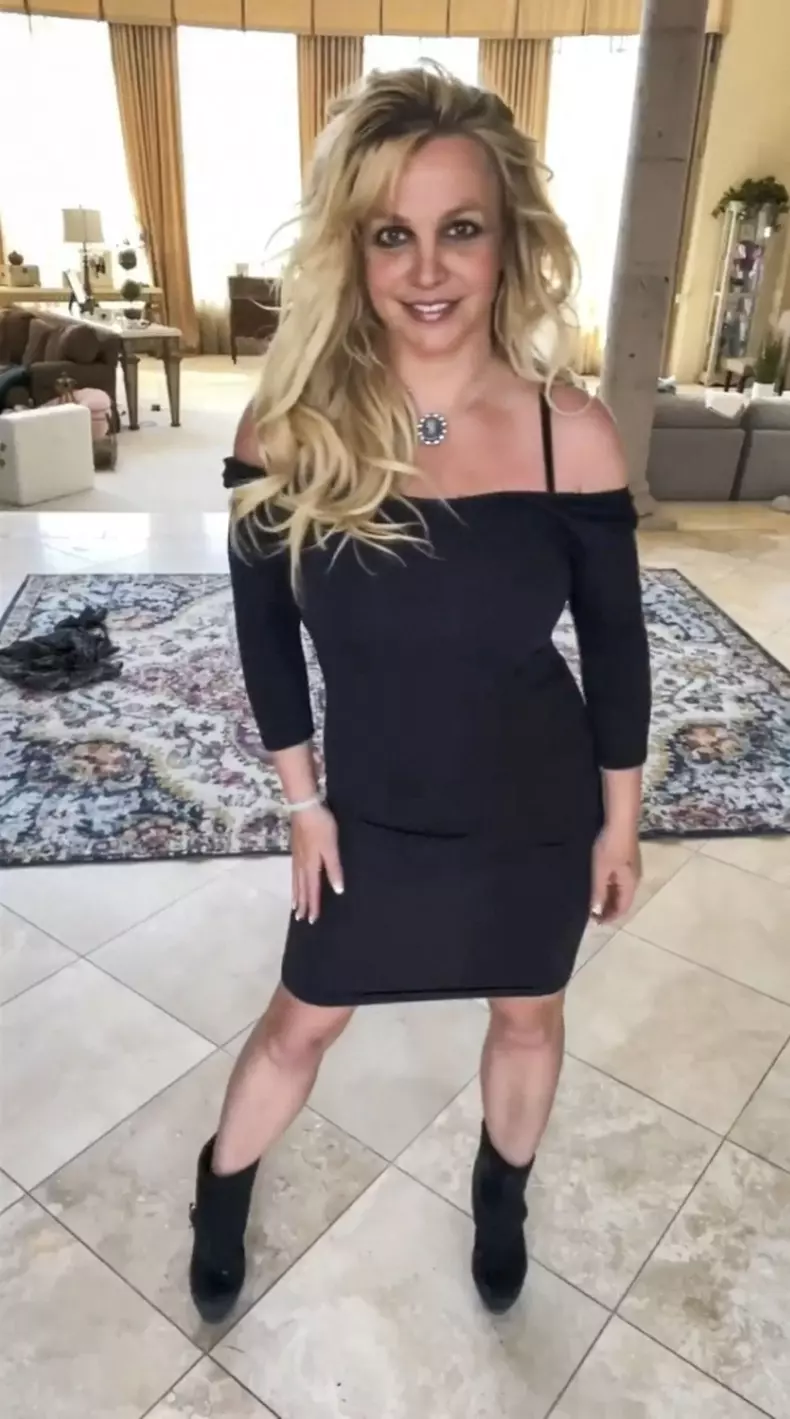 Pink, dezvăluiri despre relația sa cu Britney Spears. Ce s-a întâmplat când i-a cunoscut părinții