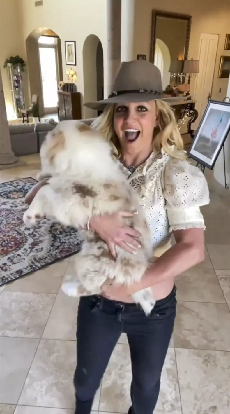 Les stars partagent leurs tenues et leurs moments intimes sur les réseaux sociaux