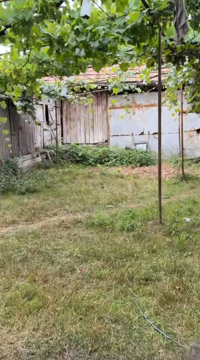 curtea bunicilor vladutei lupau