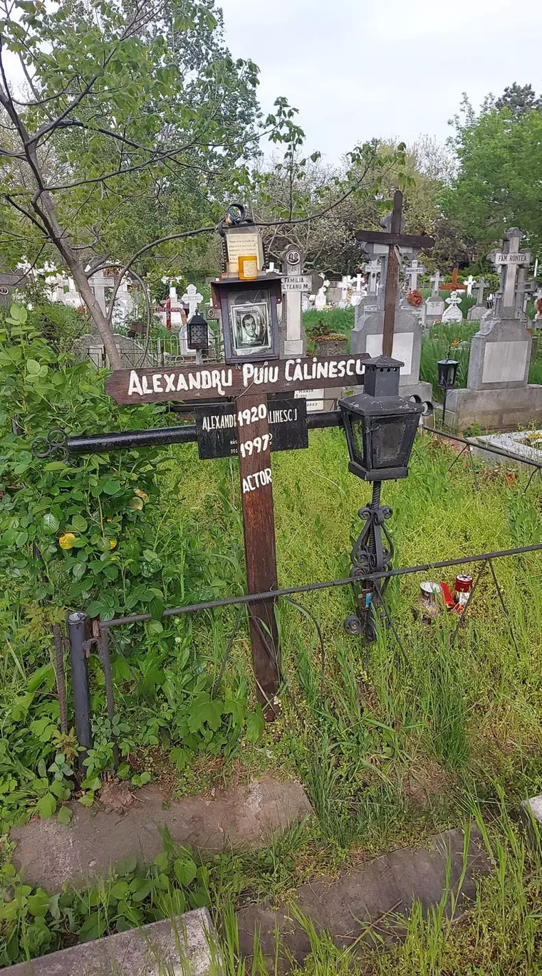 mormant-puiu-calinescu