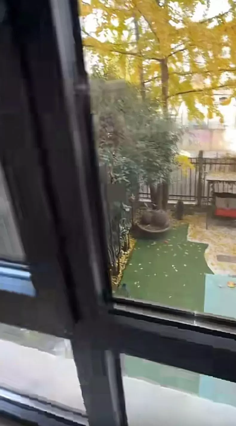 bianca-dragusanu-casa9