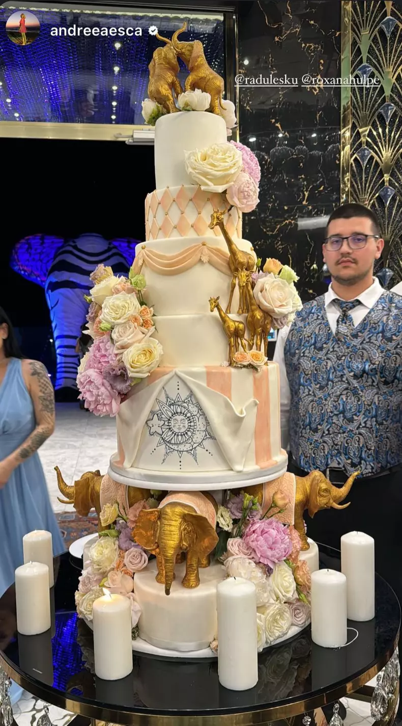 roxana-hulpe-tort-nunta