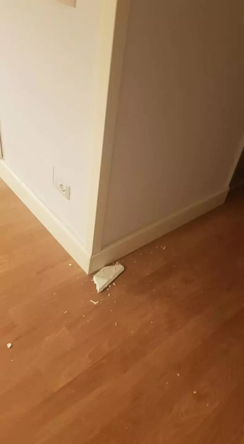 Irina Radu a postat câteva fotografii cu urmările cutremurului puternic din Albania, din locuința sa