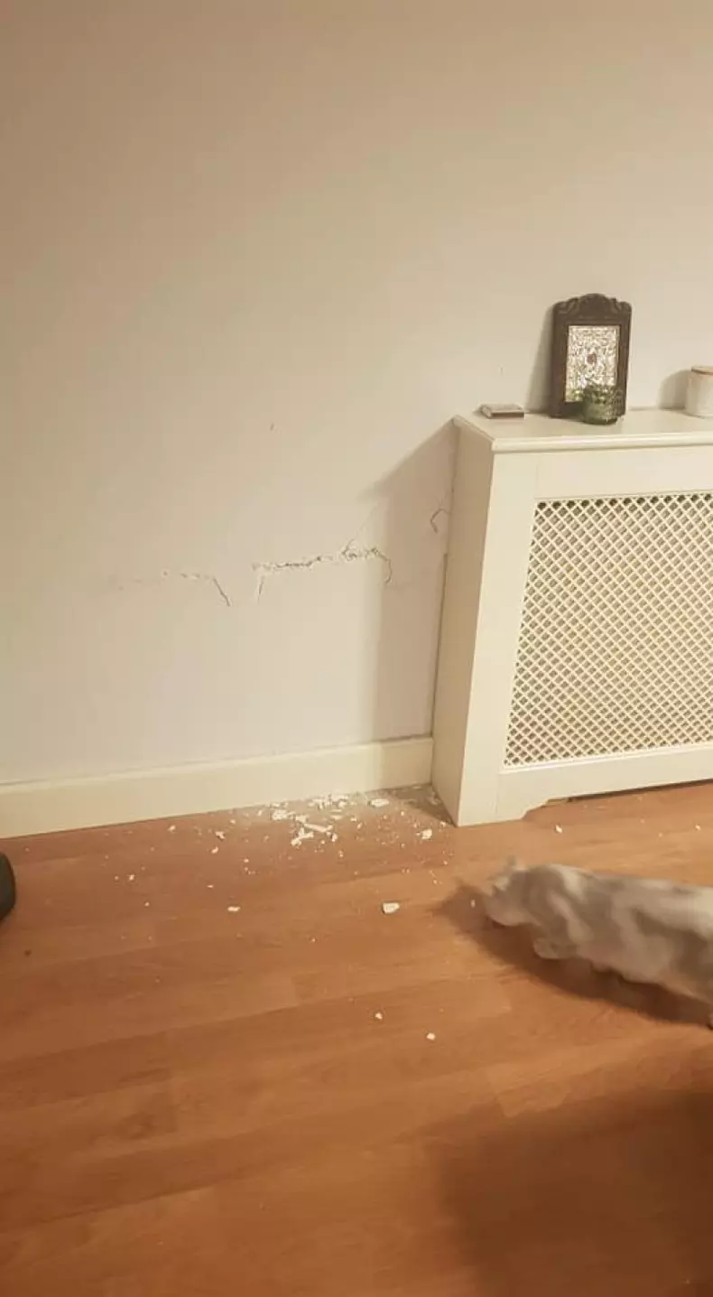 Irina Radu a postat câteva fotografii cu urmările cutremurului puternic din Albania, din locuința sa