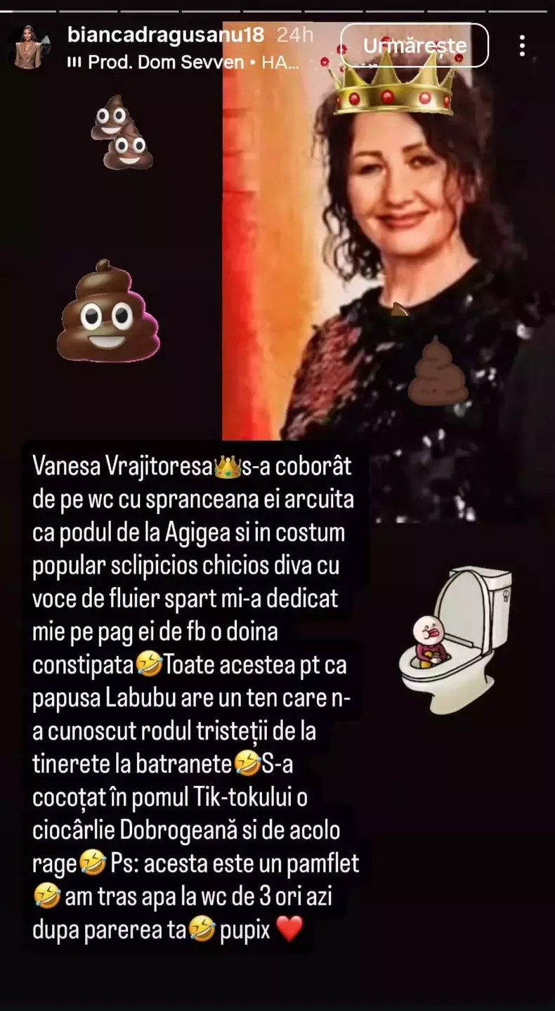 bianca dragusanu story