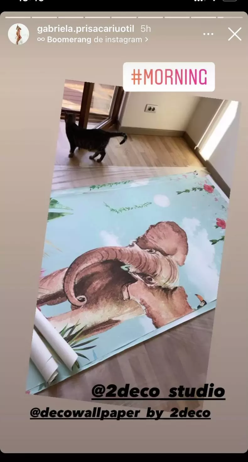 Cum arată camera băiețelului pe care îl așteaptă Dani Oțil și Gabriela Prisăcariu (1)