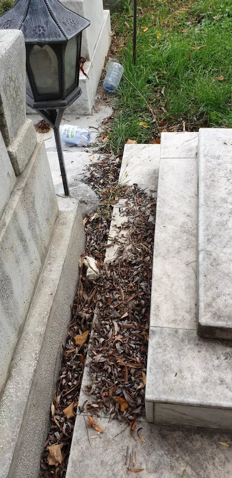 20201117_120618-scaled