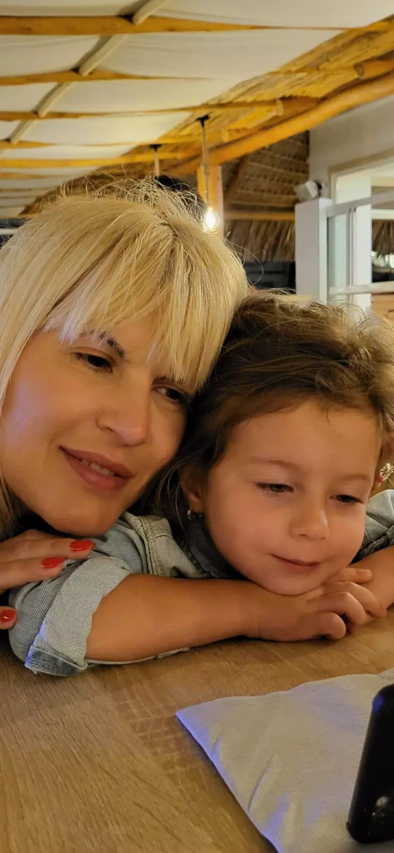 elena udrea 3