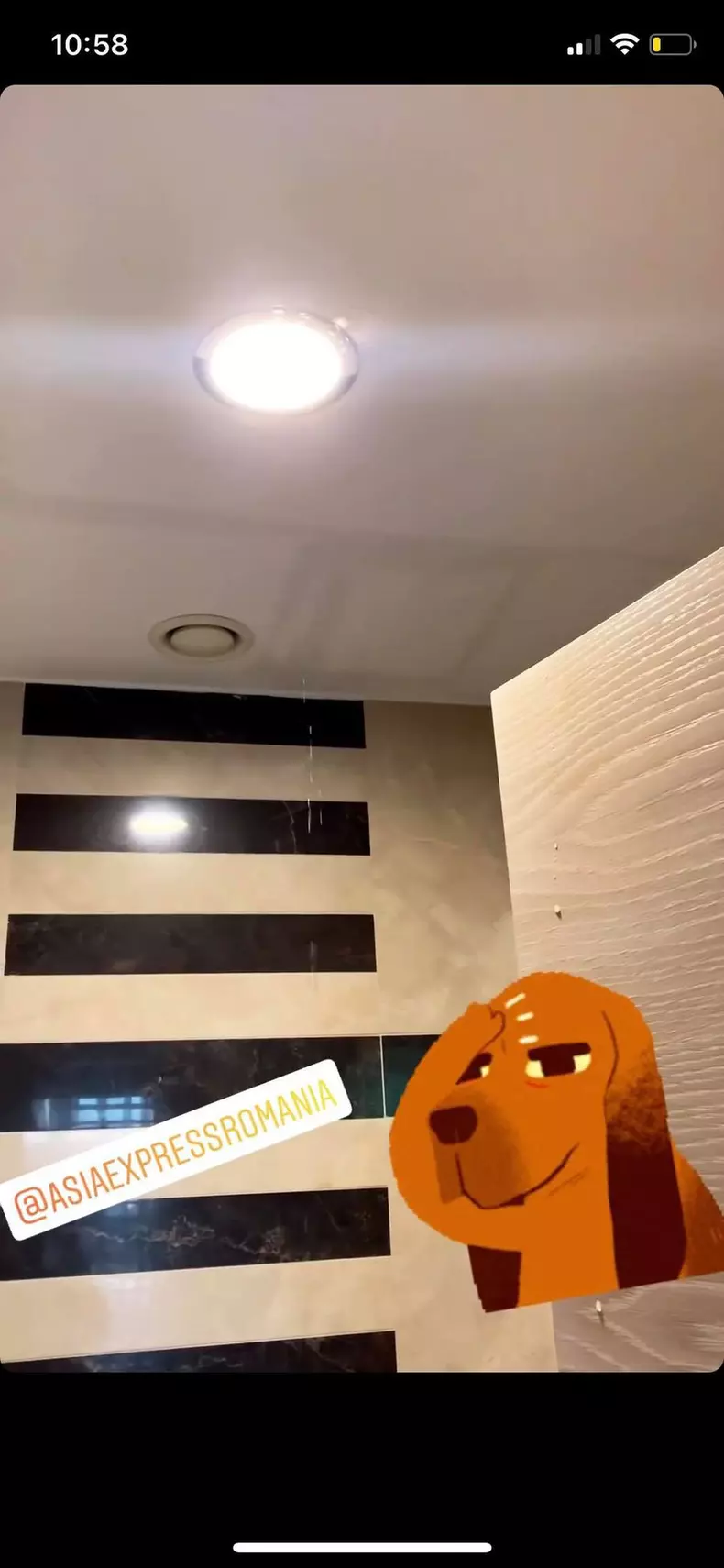 Irina Fodor filmari Asia Express