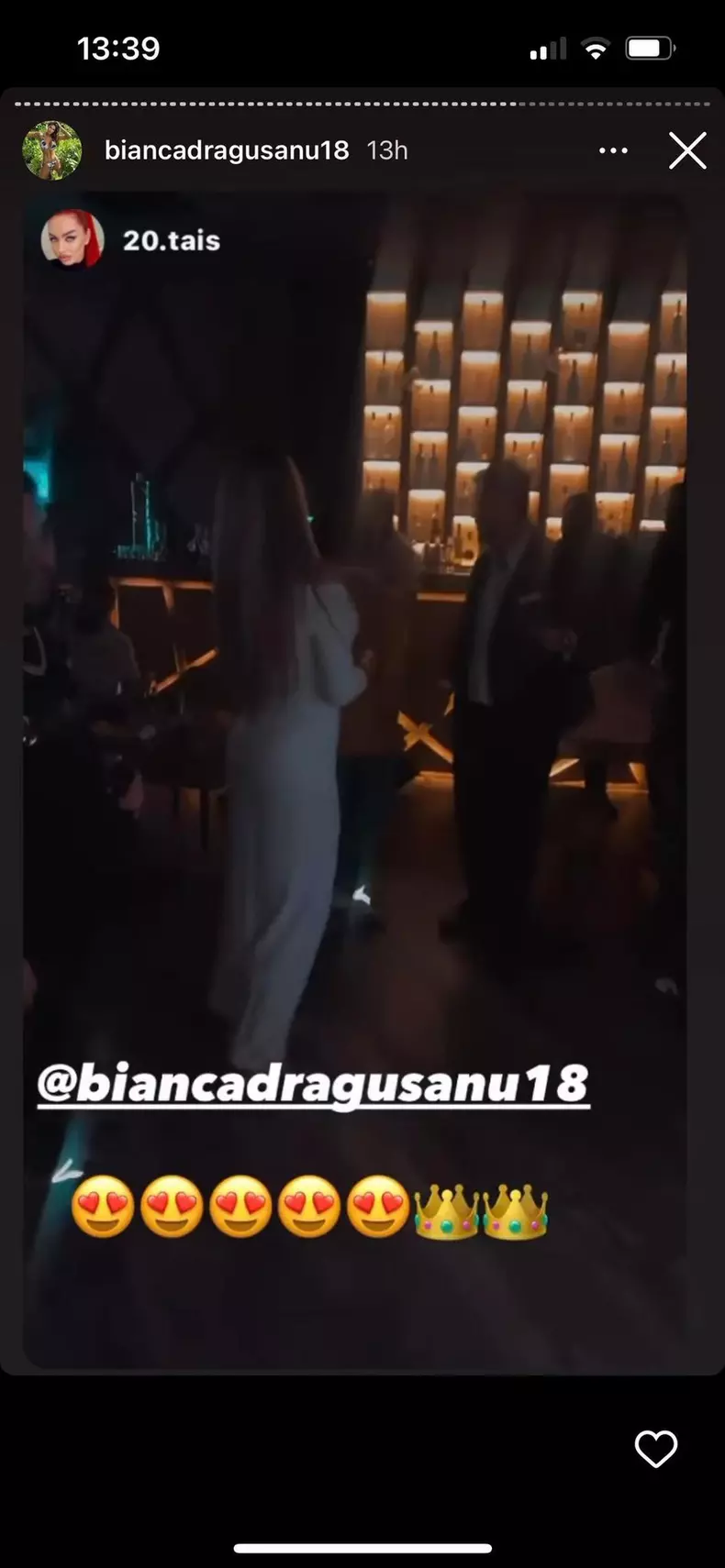 bianca-dragusanu-petrecere-10