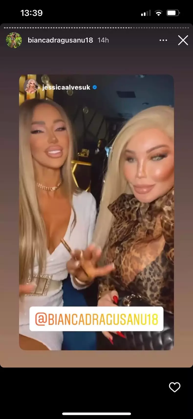 bianca-dragusanu-petrecere-13