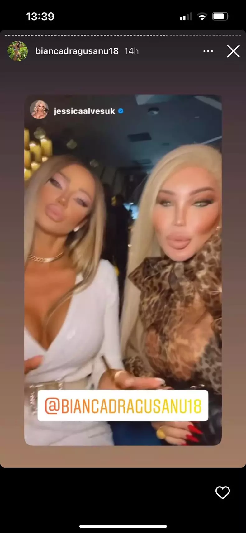 bianca-dragusanu-petrecere-14