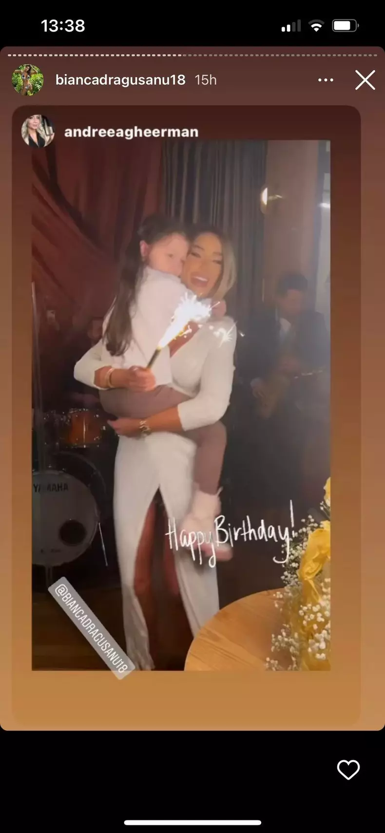 bianca-dragusanu-petrecere-16