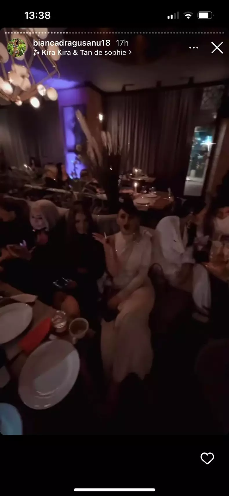 bianca-dragusanu-petrecere-19