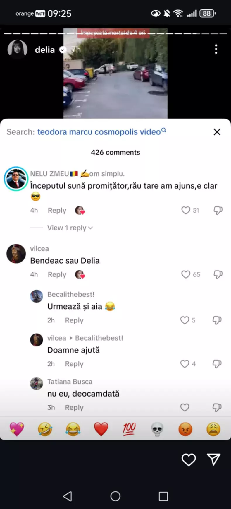 story delia (3)