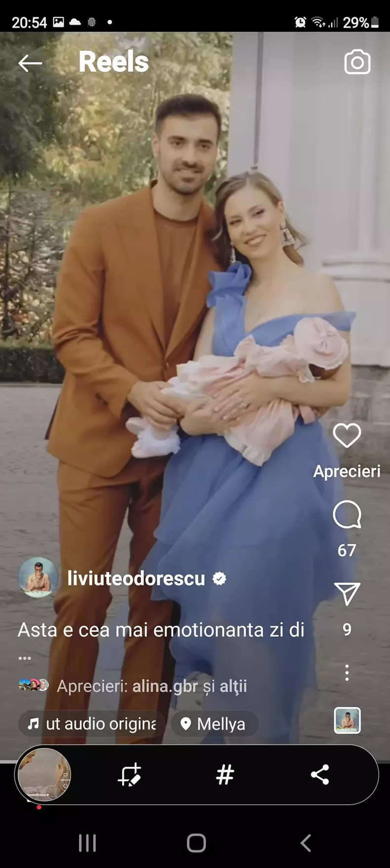 liviu-teodorescu-botez3