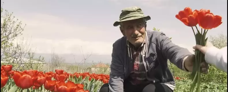 92246550_3033763366687926_8720157003982307328_o