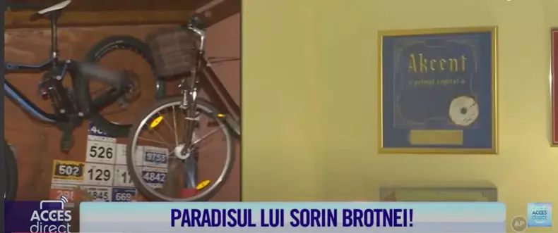 casa brotnei