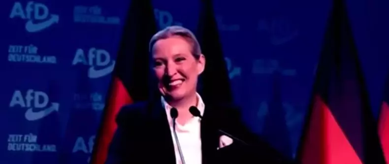 alice weidel 9