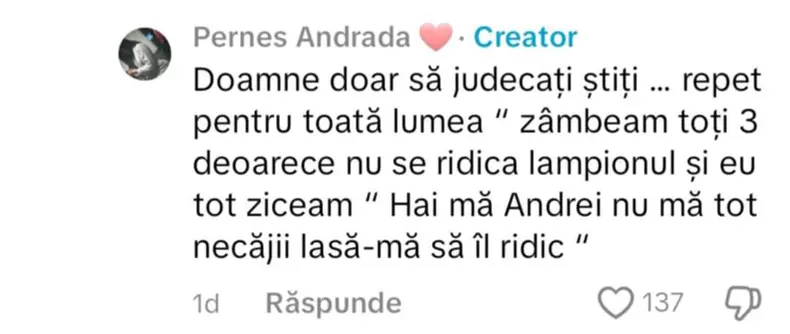 andrada pernes mesaj