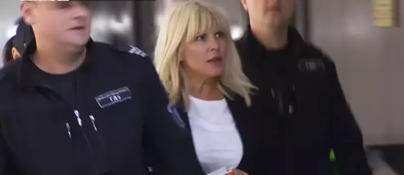 decizie-cerere-elena-udrea-suspendare-executare-pedeapsa-dosar-gala-bute-amanata-judecatori-769496