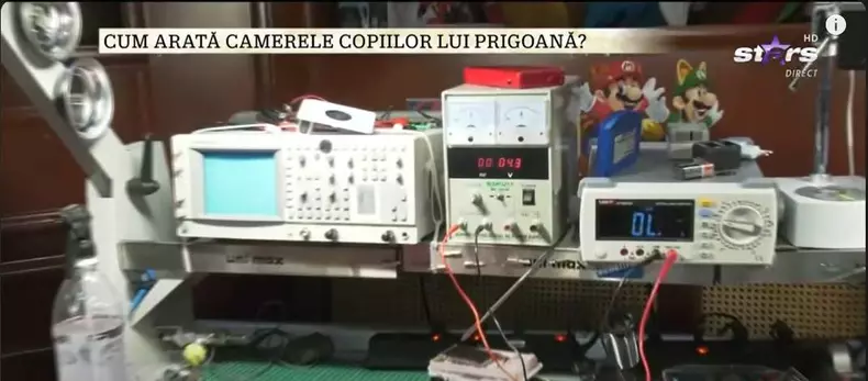 imagini casa Silviu Prigoană (5)