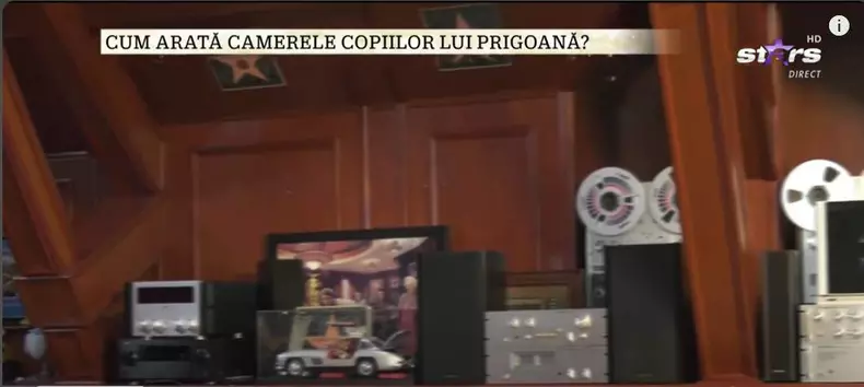imagini casa Silviu Prigoană (1)