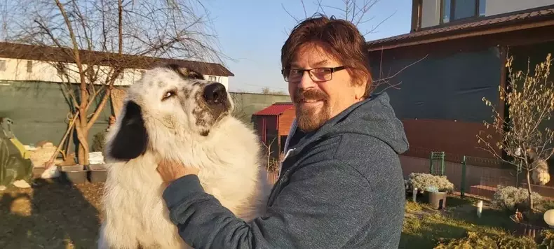 adrian-daminesuc-1024x461-1