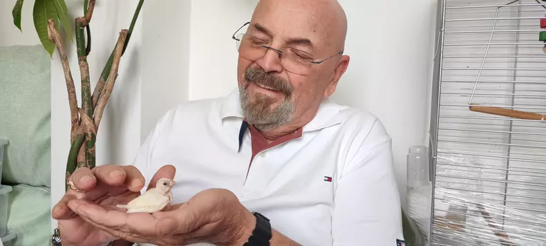 daminesci