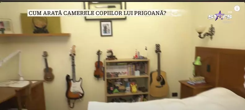 imagini casa Silviu Prigoană (8)