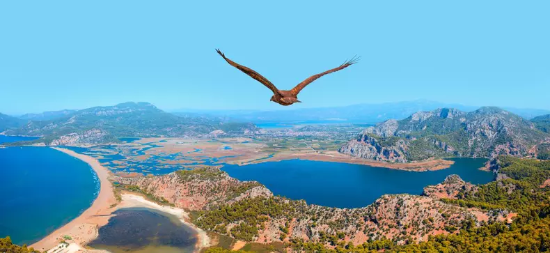Panoramic,View,Of,Iztuzu,Beach,With,Red,Tailed,Hawk,-