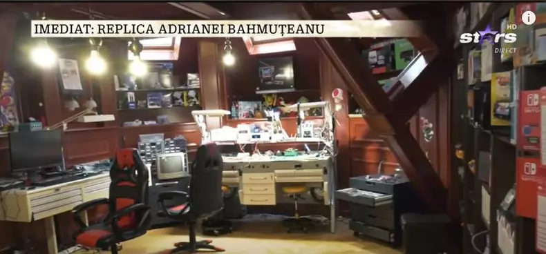 imagini casa Silviu Prigoană (4)