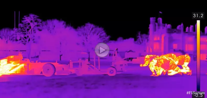 formula 1 versus rugbi