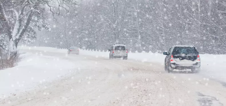 shutterstock_1248440977(1)