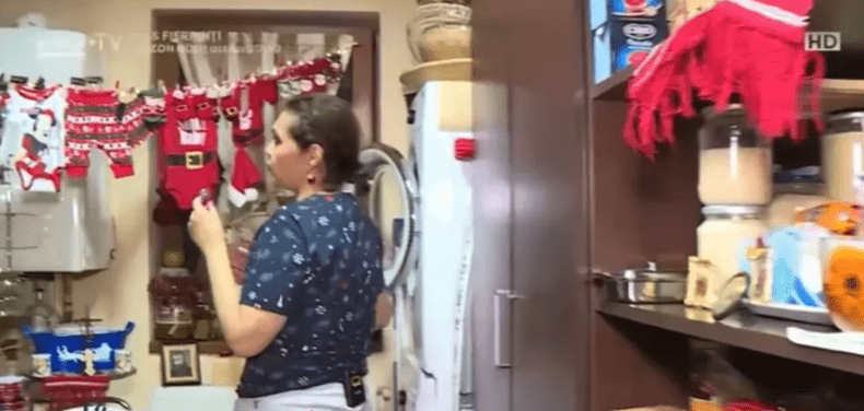 Minodora casa de Craciun