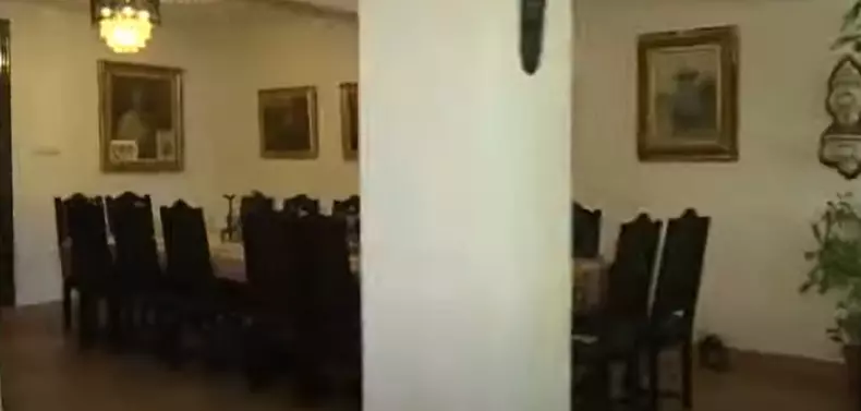 vila snagov serghei mizil 1