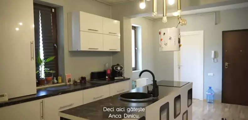 anca dinicu casa