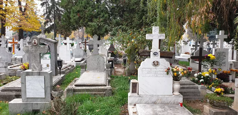 20201117_121037-scaled