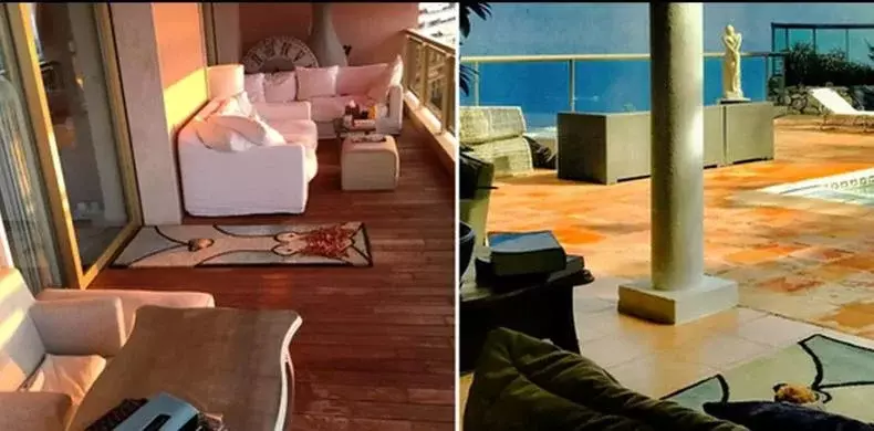 casa-mihaela-radulescu-monaco-4