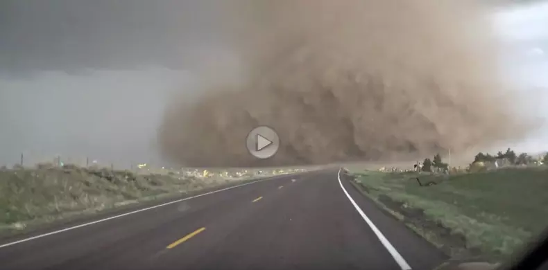 vanatorii de tornade