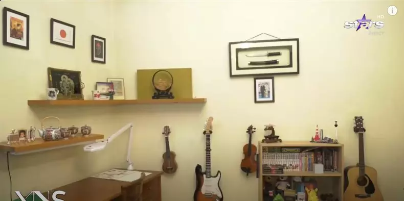 imagini casa Silviu Prigoană (2)
