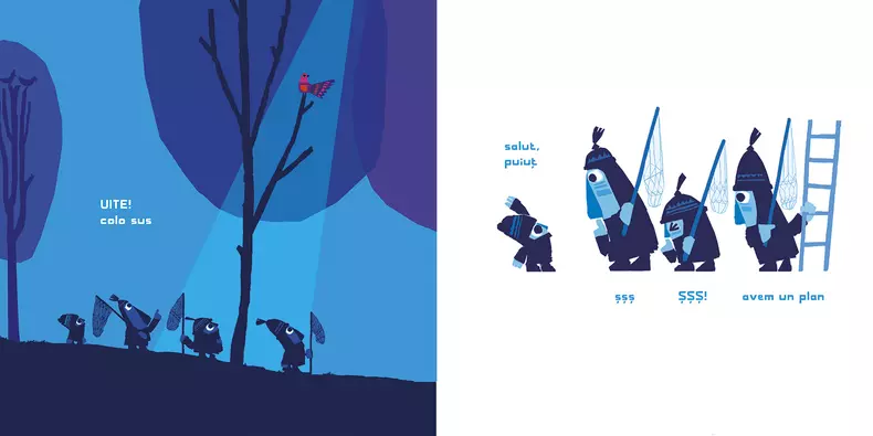 Sss Avem un plan_pagini 1