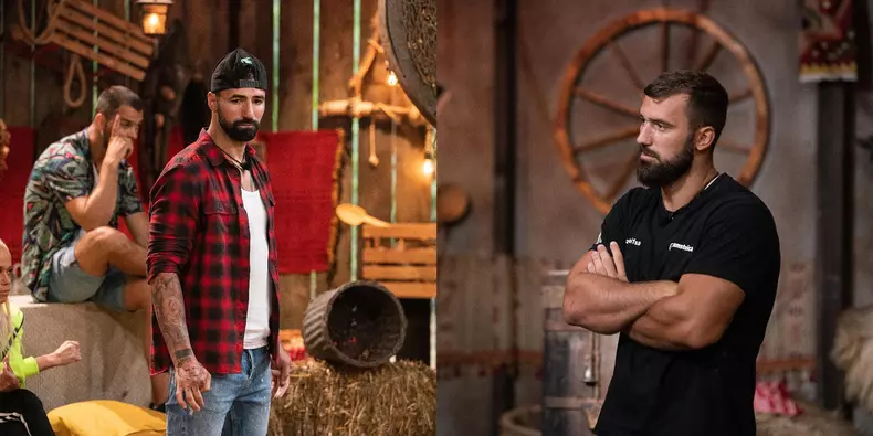 Andrei-Stoica-Ferma-1