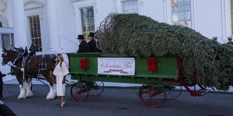 Melania Trump Welcomes the Official 2025 White House Christmas Tree